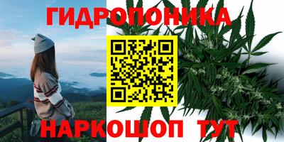 ПСИЛОЦИБИНОВЫЕ ГРИБЫ Партизанск
