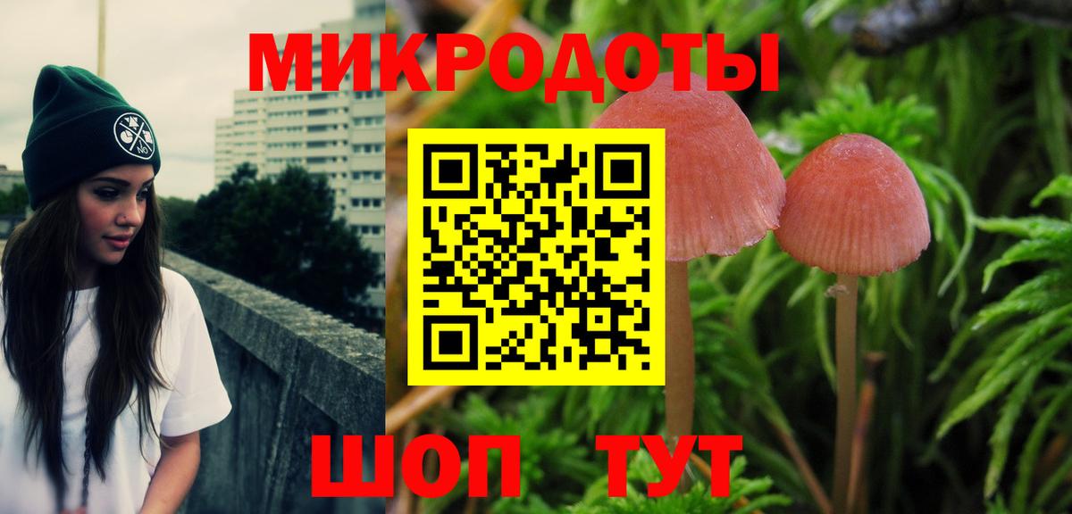 Сарапул  Псилоцибиновые грибы прущие грибы  Вход с VPN 